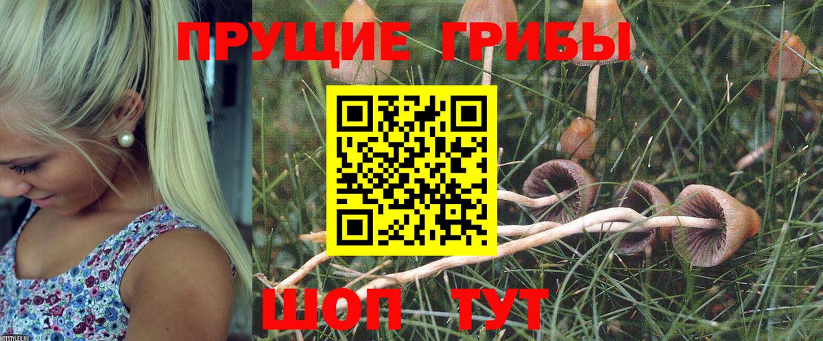 Псилоцибиновые грибы ЛСД Мелеуз